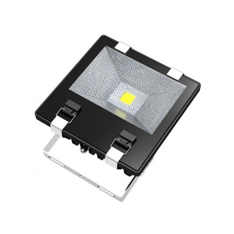High Power LED COB Floodlight