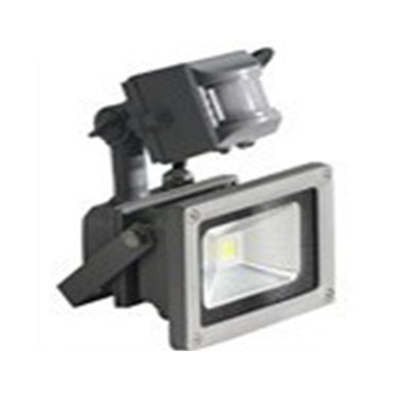 20W Waterproof PIR LED COB LED Floodlight