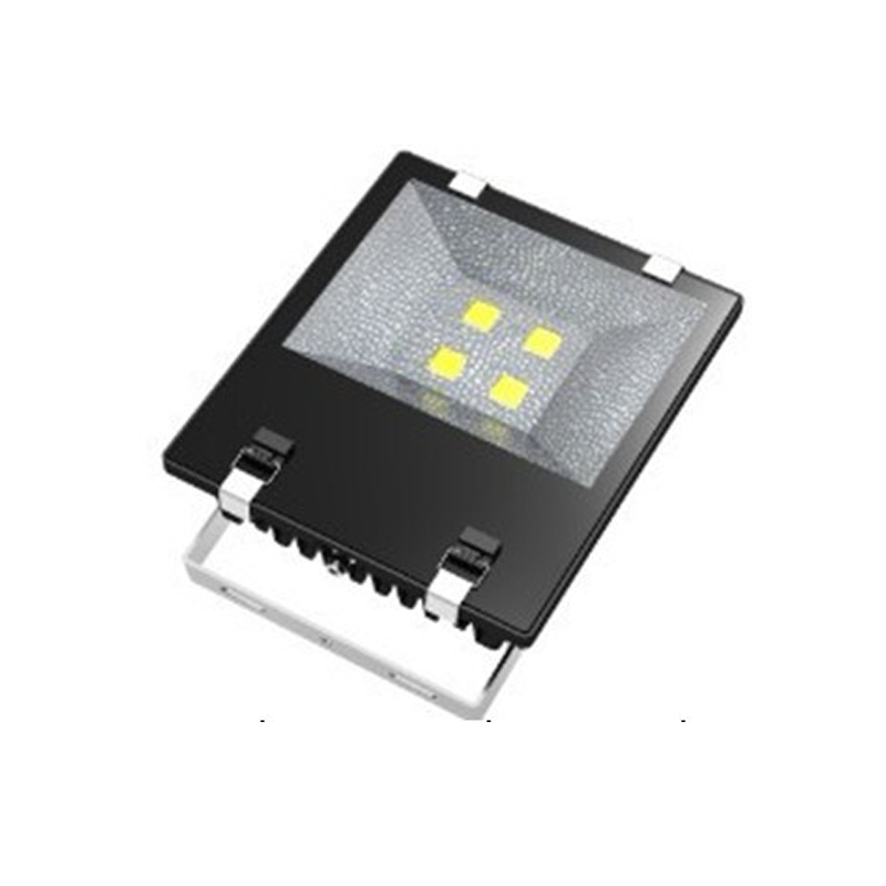 LED COB Floodlight for Outdoor Using