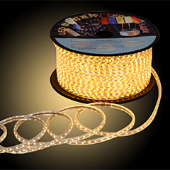 LED strip light / AC220V