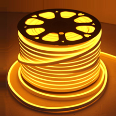LED Neon Flex